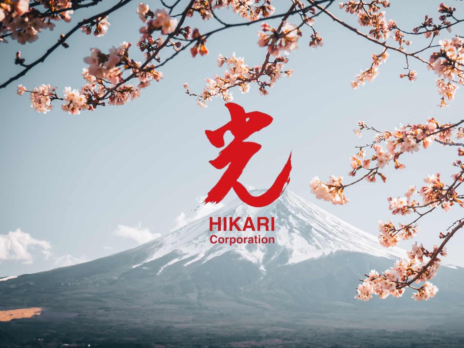 Hikari Scissors