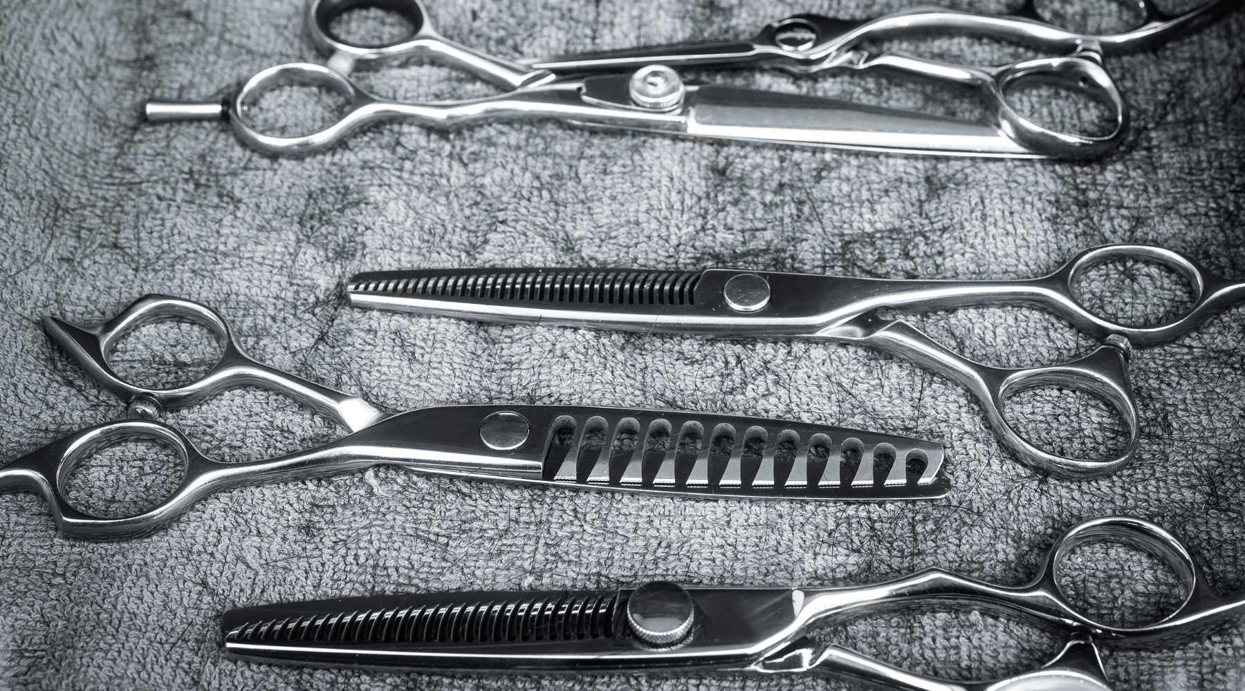 Hair cutting and thinning scissors in new zealand