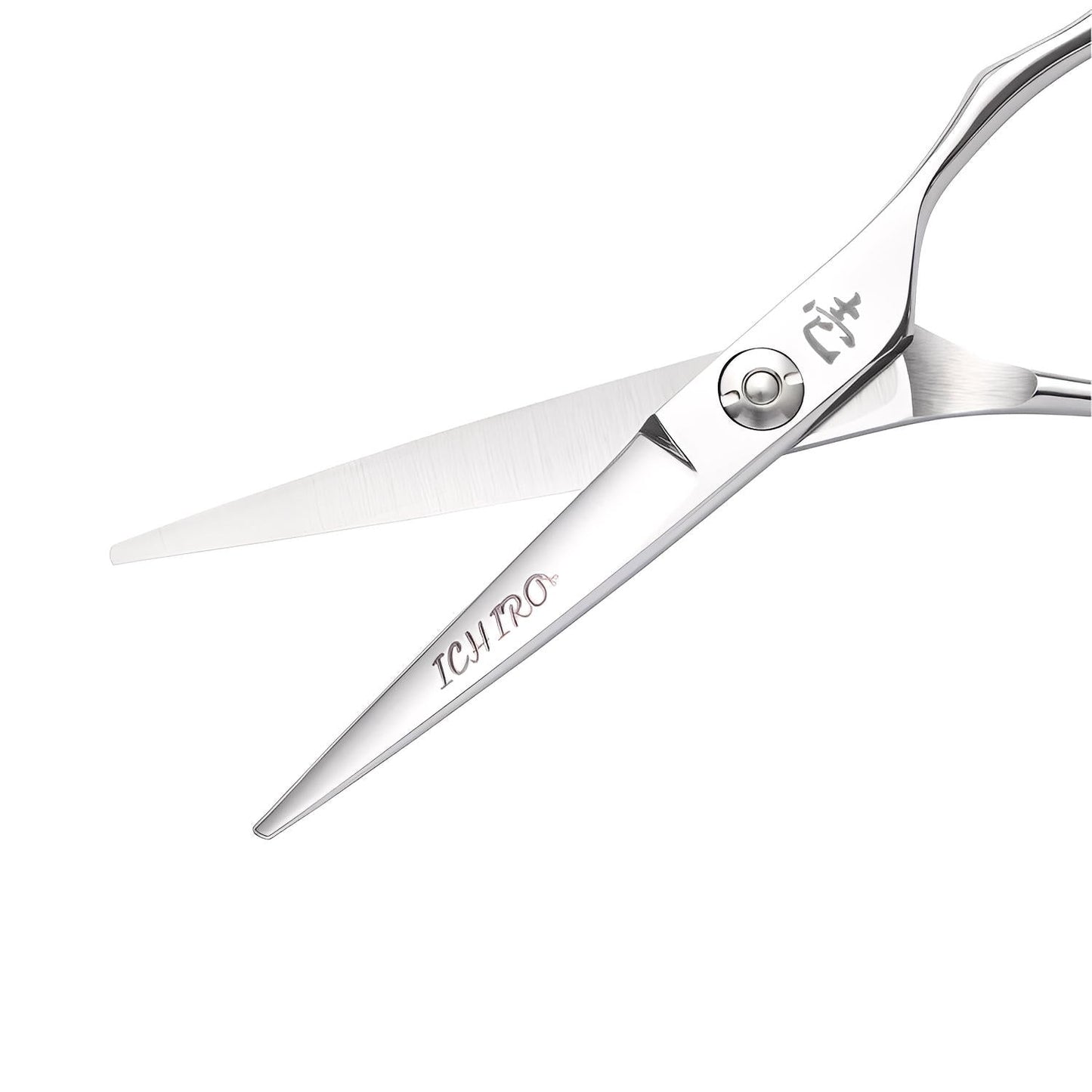 Ichiro Ergo Slice & Serrated Hairdressing Scissor Set (SKU: ICH-ERGO-S55)